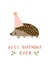 Best Birthday Ever Hedgehog Party Cute Illustrated Card created by After Providence 