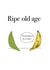Funny birthday card for friends that are getting older - ripe old age-banana created by Sophie Pollock