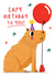 Cute Birthday Card - Capybara created by NICHOLA COWDERY ILLUSTRATIONS 