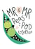 Mr & Mr Wedding Card - Peas In A Pod Card for Gay Couple created by Christine Cuddihy Illustration