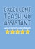 'Excellent Teaching Assistant Would Definitely Recommend' 5 Star TA Card created by Brogan Thomas