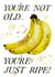 Cheeky banana birthday card - ripe bananas - You're Not Old, You're Just Ripe! created by studio frewb