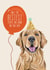 dog birthday card created by Richarts Designs