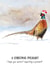 Christmas pheasant card - Funny - Hope you weren't expecting a present! created by Kate Garrett