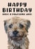 Adorable Border Terrier Dog Birthday card design for that terrier lover created by Jasmin