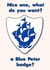 Blue Peter Badge - Nice One - Well Done Sarcasm created by Lisa Wardle