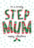 To a lovely Step Mum Merry Christmas created by The Boy and the Bear