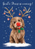 Cute Cockapoo Christmas Card - Santa Claus is coming - Dog - From the Dog created by Di Brookes Design
