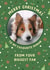 Cute Christmas Photo Card - From the dog created by Fliss Muir