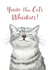 Cute Illustrated Cat Card - Thank You, Birthday created by Debbie Daley Illustrations
