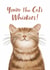 Cute Illustrated Cat Card - Thank You, Birthday created by Debbie Daley Illustrations