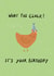 Funny Birthday Card - Chicken - What The Cluck created by Dandelion Stationery