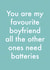 Funny valentines card for boyfriend. You are my favourite boyfriend. created by OBJECTABLES