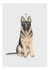 German Shepherd Card - Party Hat Dog created by Lottie Murphy