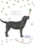 Black Labrador Dog Birthday Card - Happiest of Birthdays created by Lottie Murphy