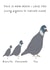 Funny card - for significant other - pigeons - love created by Not at all Jack