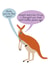 Funny Mother's Day Card - Kangaroo - Mum, You're The Best created by Not at all Jack