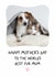 Cute Mothers Day Photo Card - From the Pets created by @hollielonglanddesigns