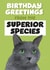 Funny Cute Cat Birthday Card - Cats are the Superior Species created by Afewhometruths