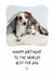 Cute Birthday Photo Card - For Fur Dad - From Pets created by @hollielonglanddesigns