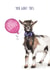 Cute Good Luck Card - You GOAT this! created by Citrus Bunn