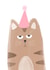 Grumpy Brown Cat Card created by Grumpy Cats