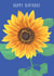 Happy Birthday Sunflower created by NS Illustration