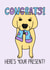 Congratulations Funny Golden Retriever Dog Pet Card with Sock Present created by Sunny Spills