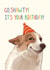 Funny Meme Dog Birthday Card - Go Shawty, It's your Birthday created by Livensir