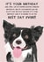 Cute Birthday Card - From the Dog - Best Day Ever - Border Collie created by From The Dog