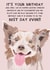 Cute Birthday Card - Best Day Ever - Border Collie - From the Dog created by From The Dog