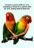Funny Anniversary Card - For Him Parrots With Arms created by OBJECTABLES
