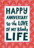 Heartfelt Typography Anniversary Card - For Husband, Wife, Boyfriend, Girlfriend created by Alice Mole Illustration