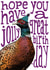 Cute Jolly Great Birthday Card - Pheasant - Hope you have a jolly great birthday created by The Visual Narrator