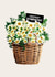Deepest Sympathy Condolences Card - Basket of Flowers - Thinking of You created by Folio | Ian Owen