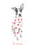 Italian Greyhound - I Love You 'Ti Amo' created by GiFlynn Design