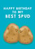 Cute Birthday Card - For Him - Best Spud Potato Pun created by Giddy Kipper