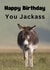 Happy Birthday You Jackass created by Riad Mannan