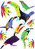 Arty Just Because Card - Toucan created by rosy