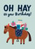 Cute Horse Pun Birthday Card - Oh Hay It's Your Birthday! created by Alice Mole Illustration