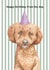 Cute Birthday Card - From The Dog - Cockapoo created by lil wabbit