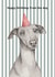 Cute Birthday Card - From The Dog - Whippet - Italian Greyhound - Party Hat created by lil wabbit