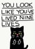 Funny Birthday Card - Getting Older - Look Like You've Lived Nine Lives created by JOLLY AWESOME