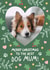 Cute Christmas Card - From The Dog - To The Best Dog Mum! created by @hollielonglanddesigns