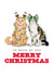Funny Christmas Card - To Both Of You - Christmas Cats created by badgerbee design
