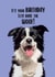 Funny Birthday Card - Border Collie - Lets Raise The Woof! created by BB Designs
