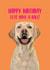 Cute Birthday Card - Labrador - Lets Have A Ball! created by BB Designs