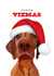 Cute Christmas Card - Merry Vizmas - Vizsla created by badgerbee design