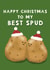Cute Christmas Card - To My Best Spud - Potatoes created by Giddy Kipper