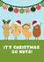 Funny Christmas Card - Go Nuts - Nuts Pun created by Pink Peach Cards